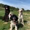High Tail Hikes