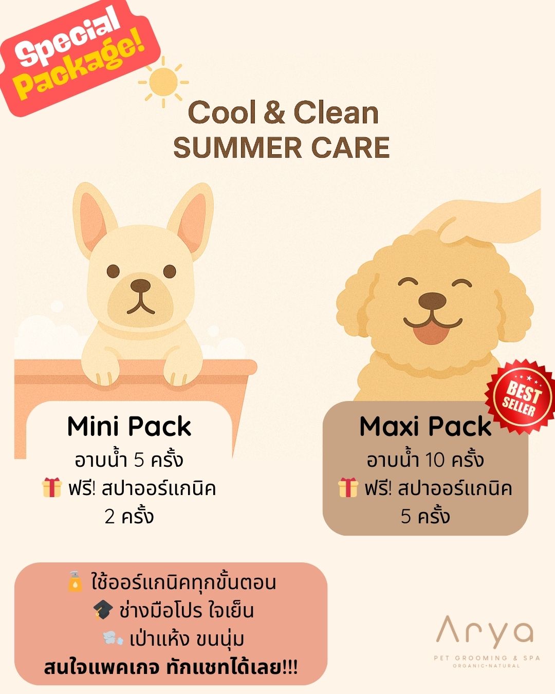 Arya Pet Grooming and Spa Facebook ad