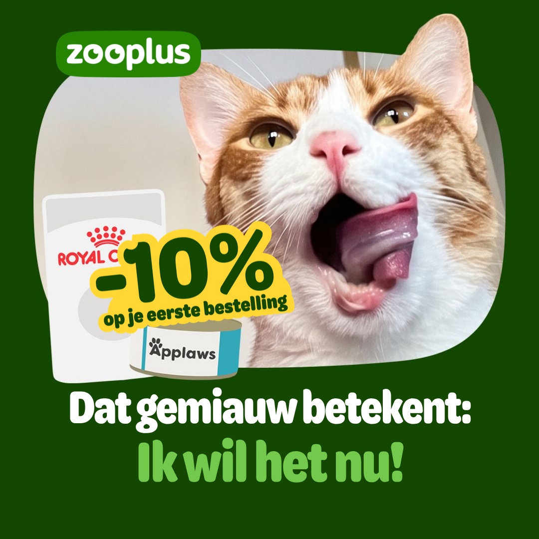 zooplus Facebook ad: Alles voor je kat kopen? De beste prijs bij zooplus!