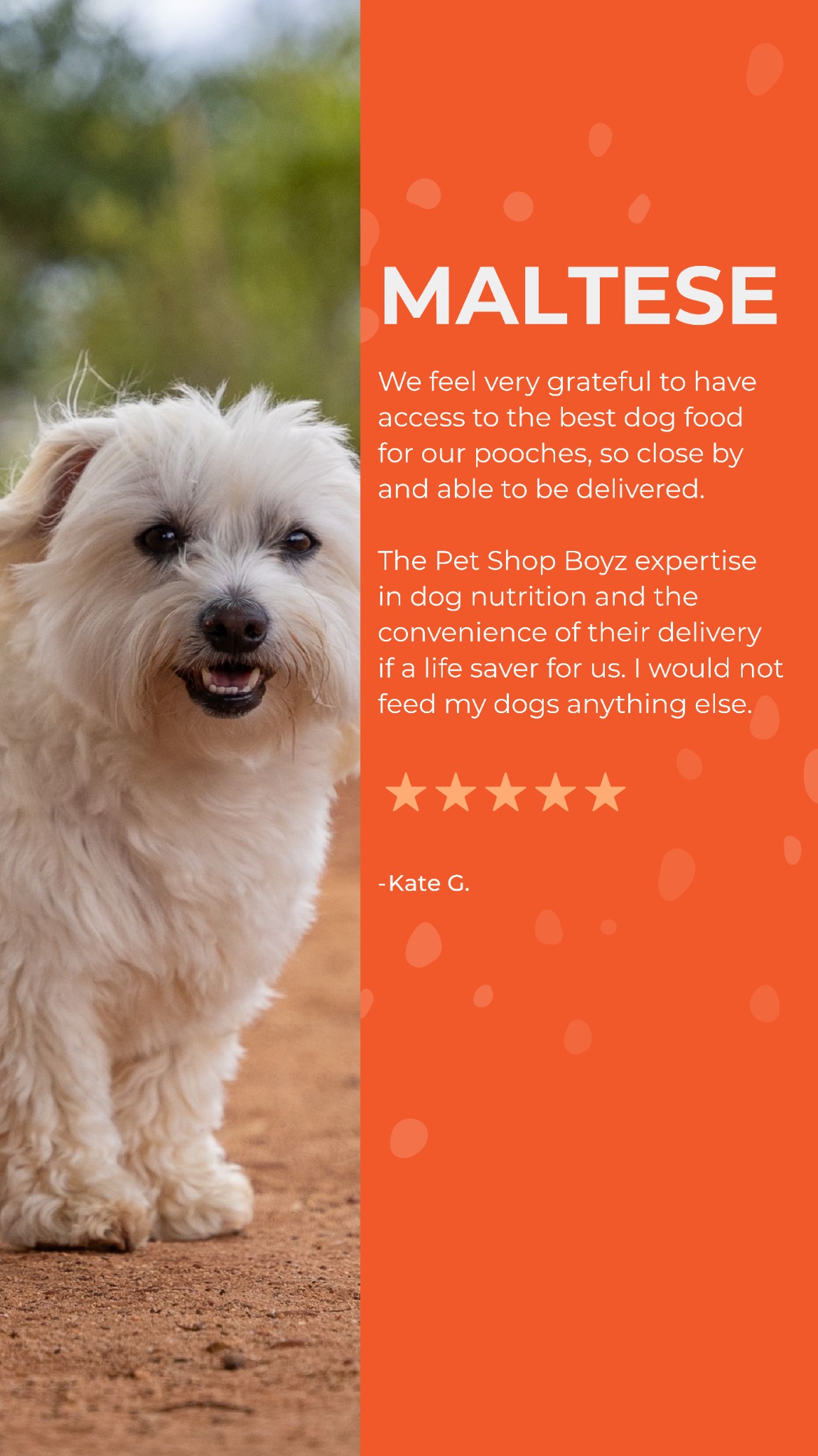 Somerford Raw & Natural Pet Food Facebook ad from Jan 6, 2026