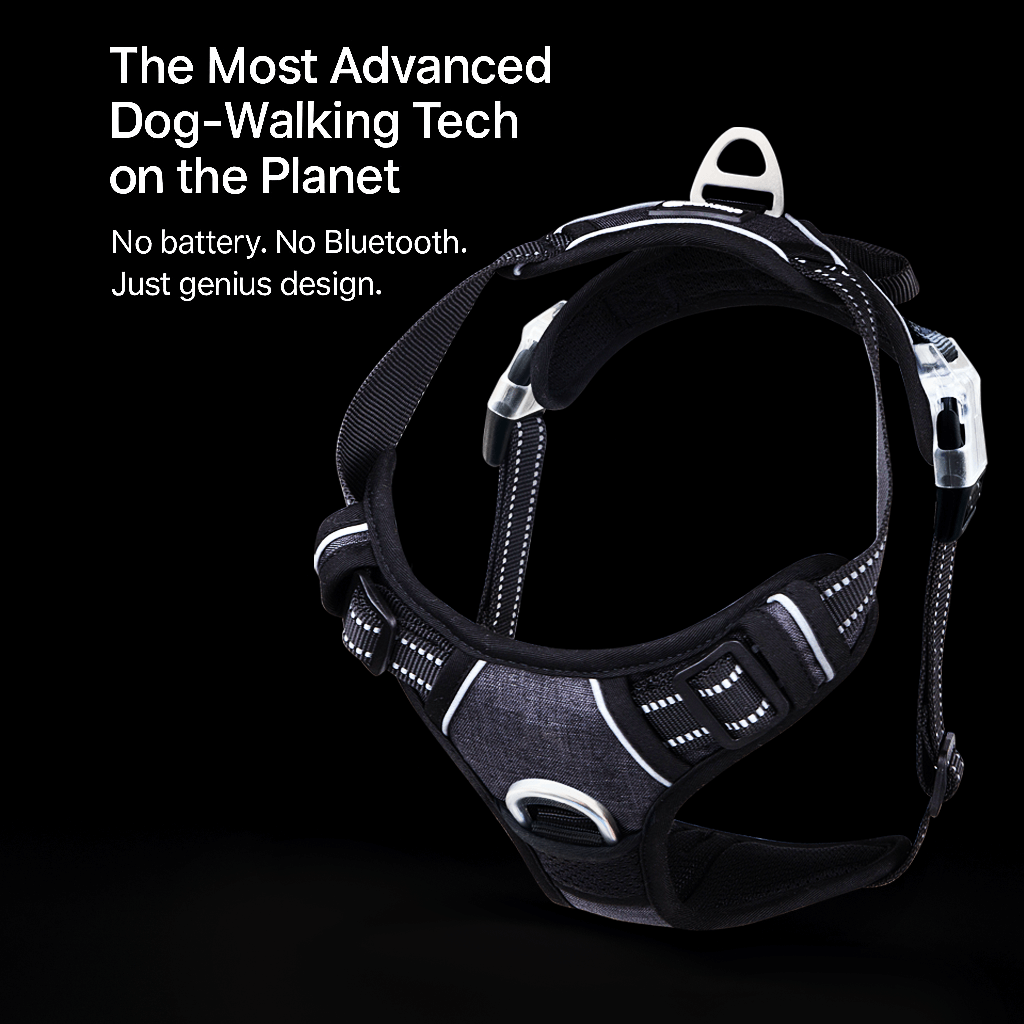 PawSafe Facebook ad