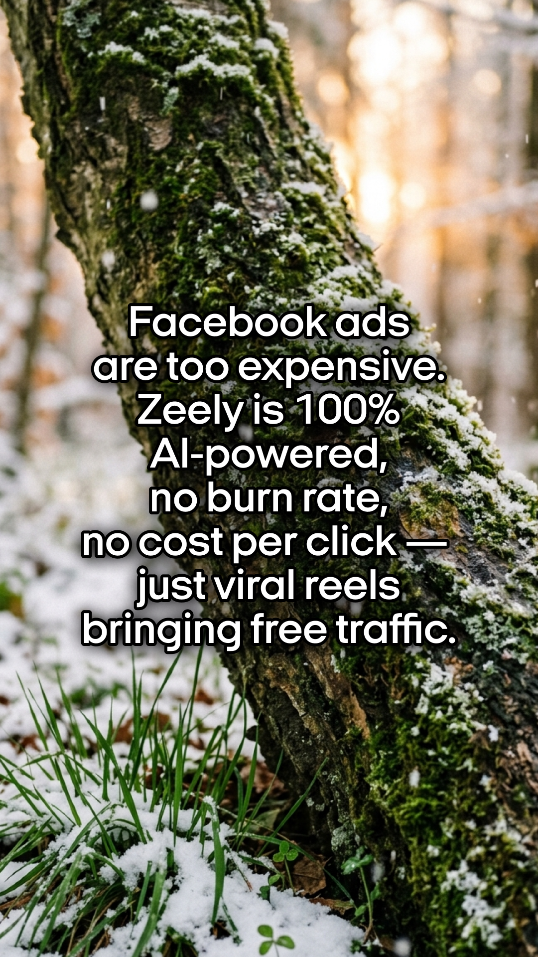 Zeely Facebook ad