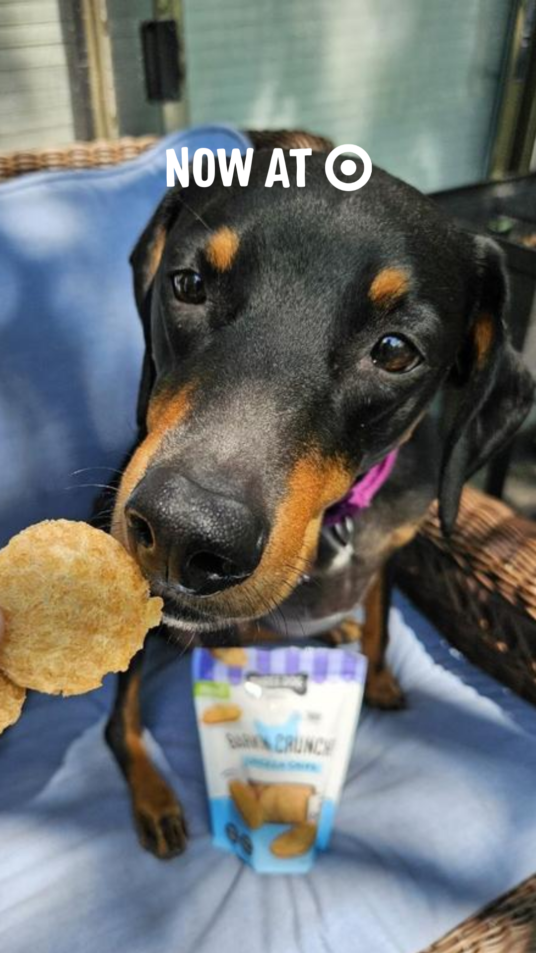 Three Dog Bakery Facebook ad