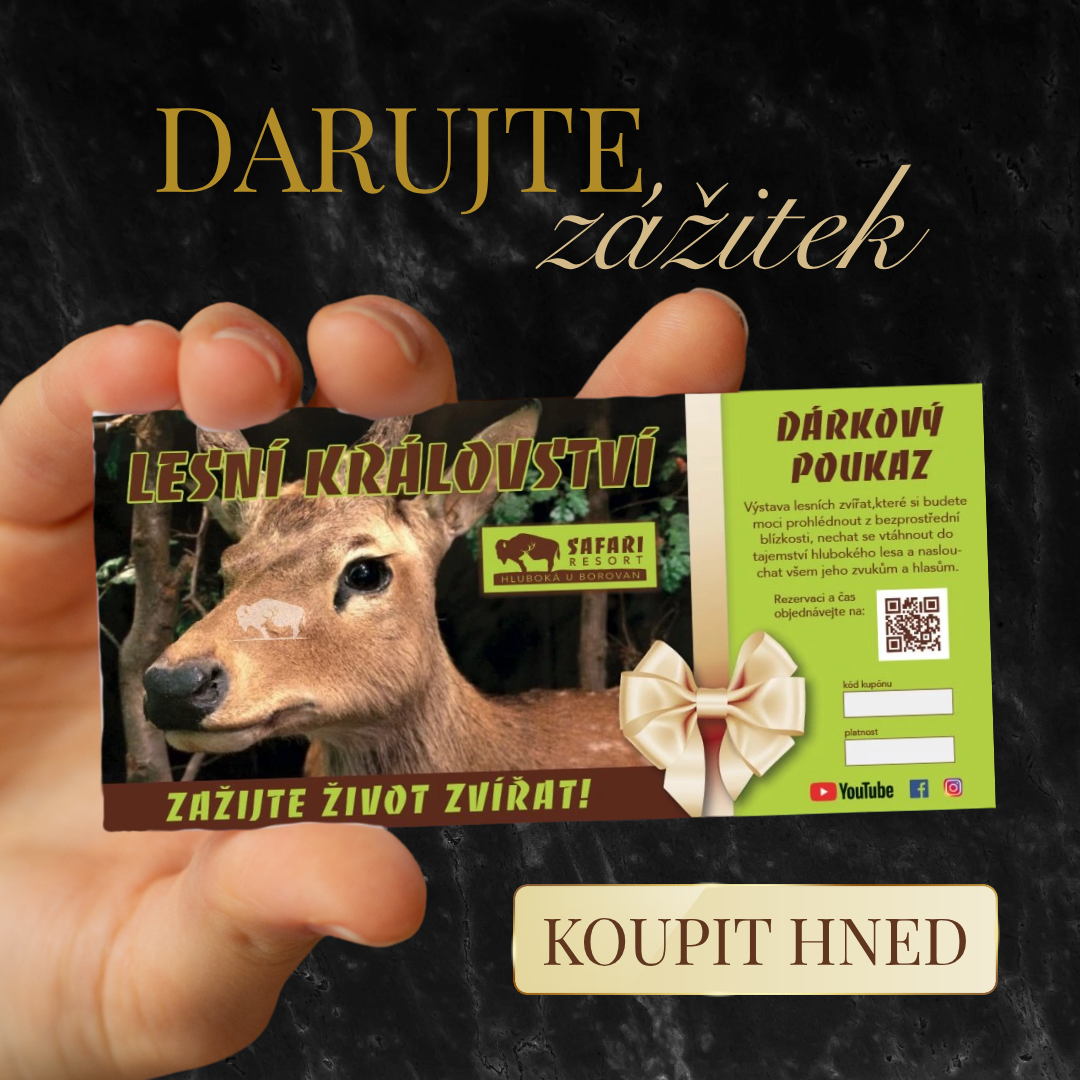 Safari Resort Facebook ad: Co koupit někomu, kdo už má všechno?