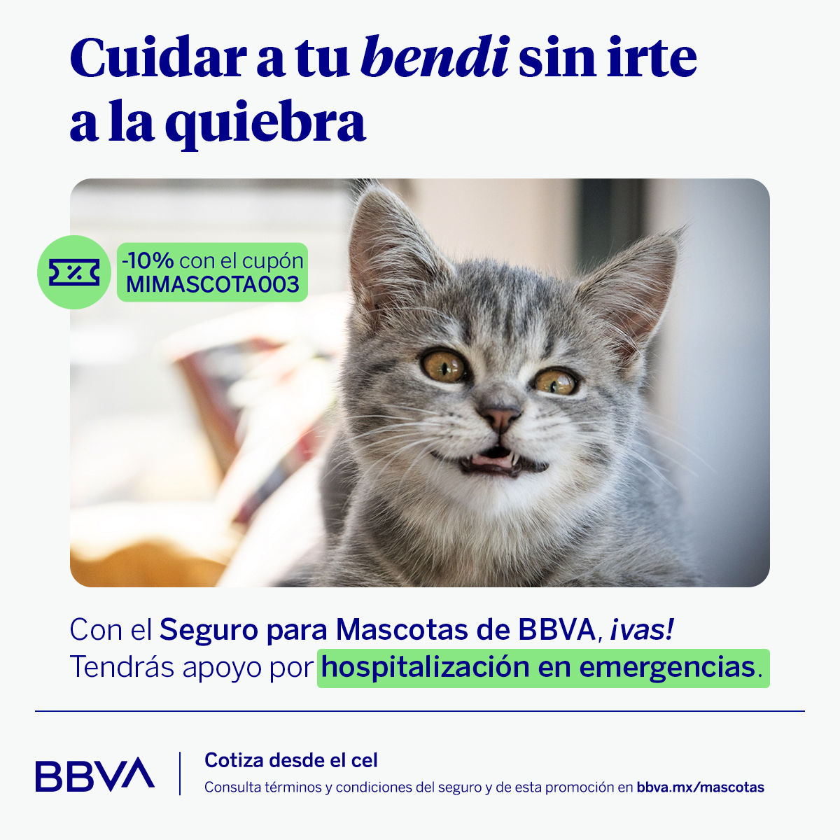 BBVA Seguros México Facebook ad: Protege a tu chiqui