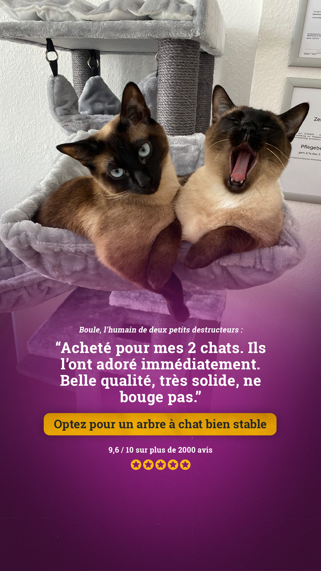 petrebels.com Facebook ad