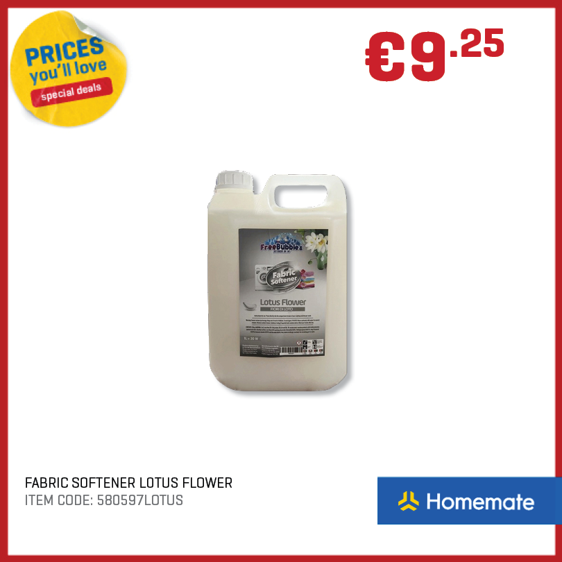 Homemate Co Ltd Facebook ad