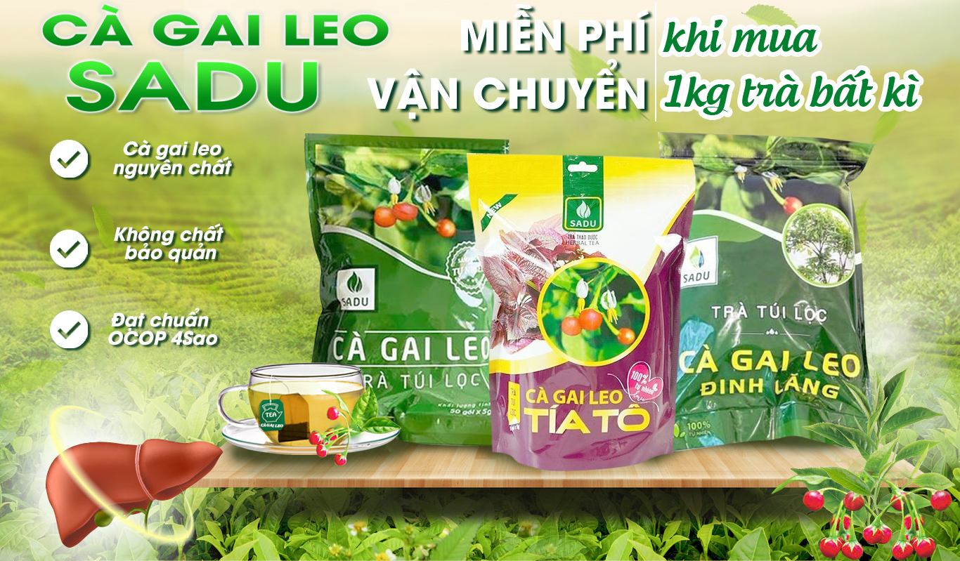 Trà túi lọc cà gai leo SAdu - sản phẩm uống của mọi gia đình Facebook ad