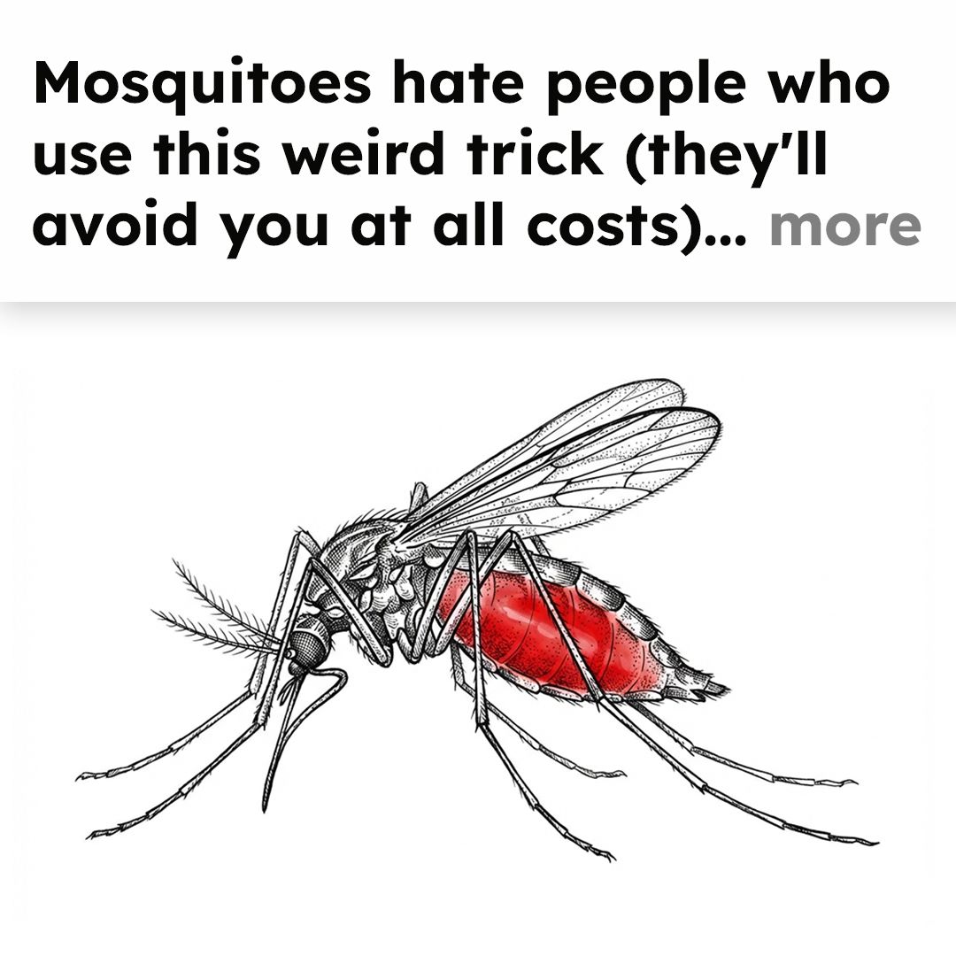 Mosquito Secrets Facebook ad