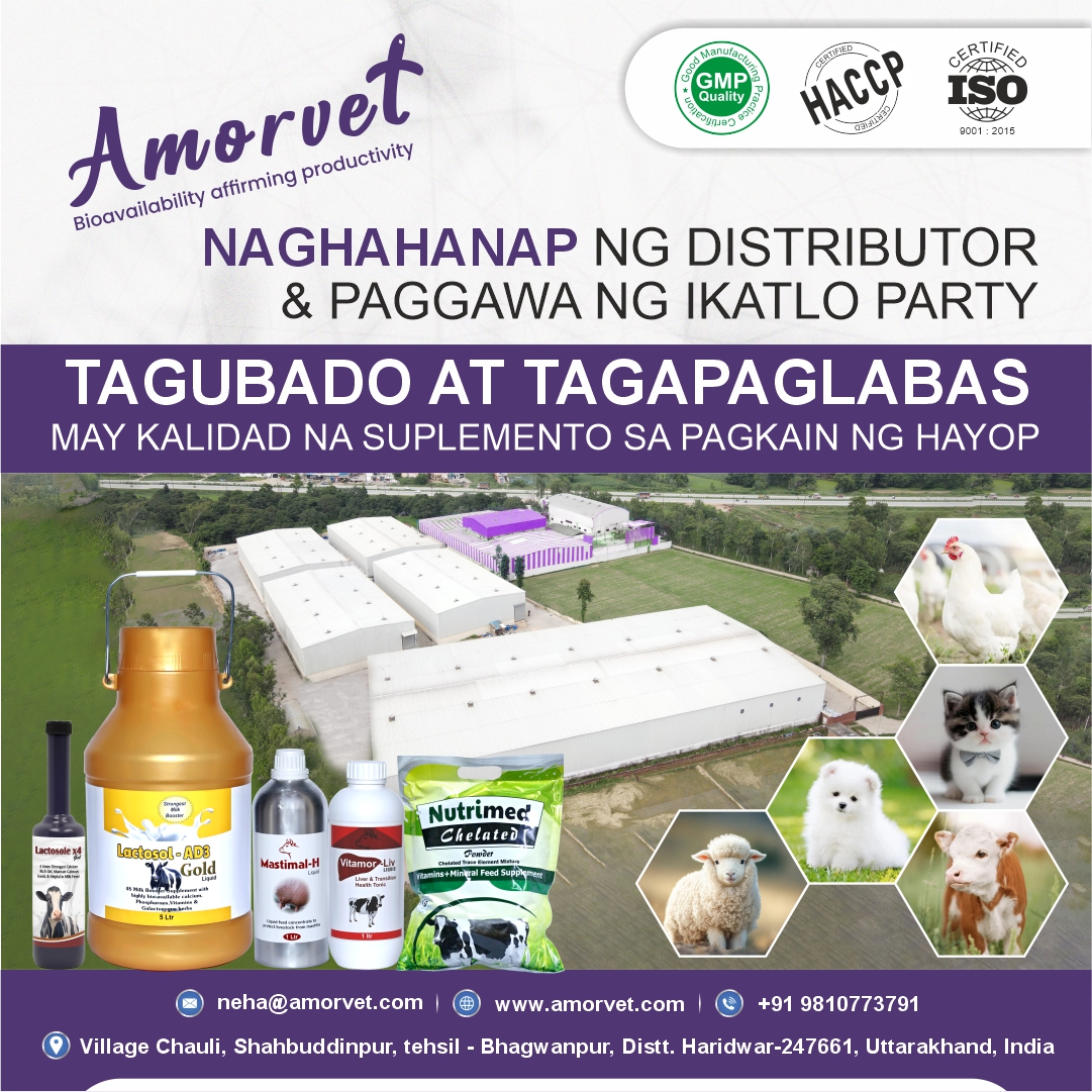 Amorvet Facebook ad