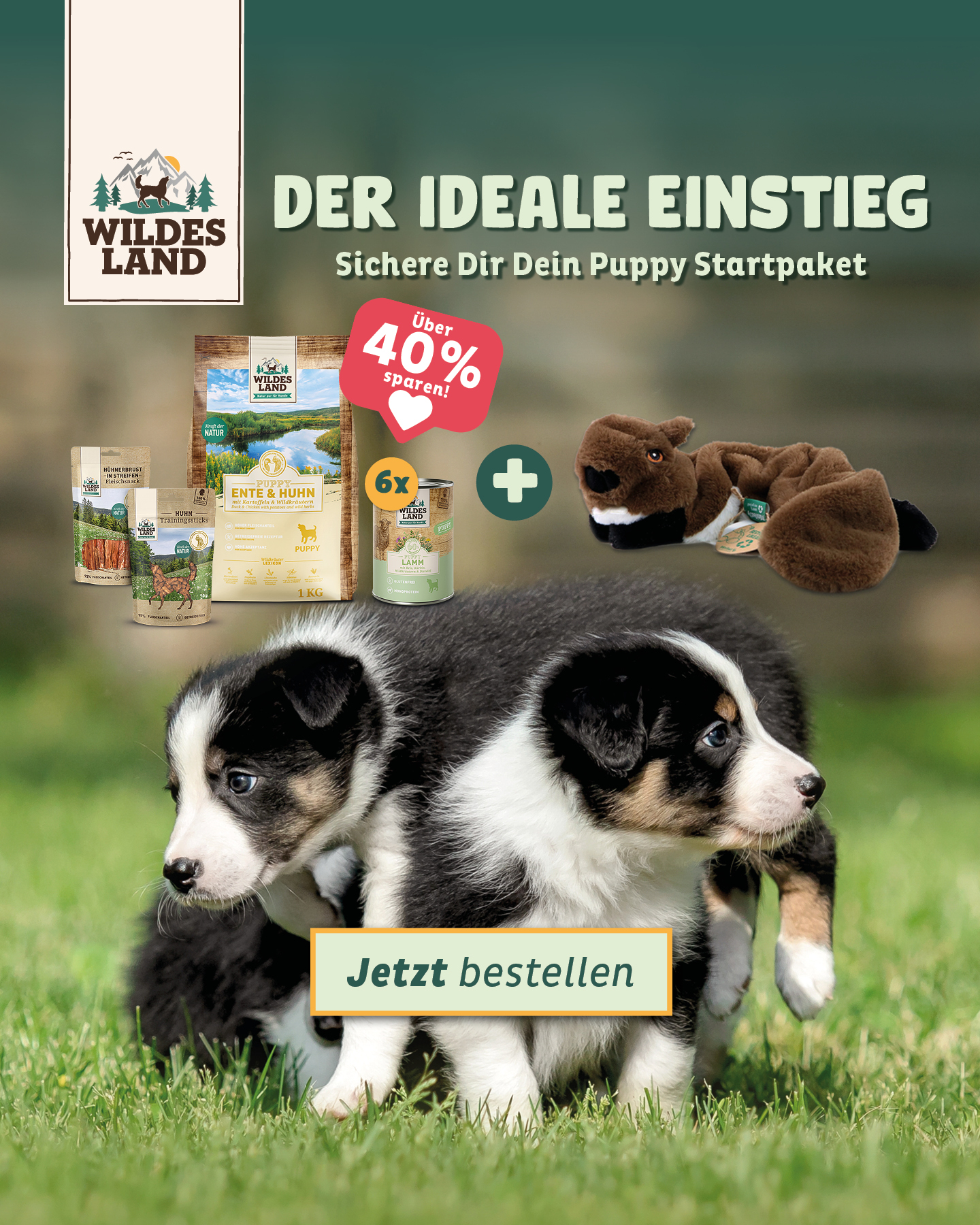 Wildes Land Facebook ad