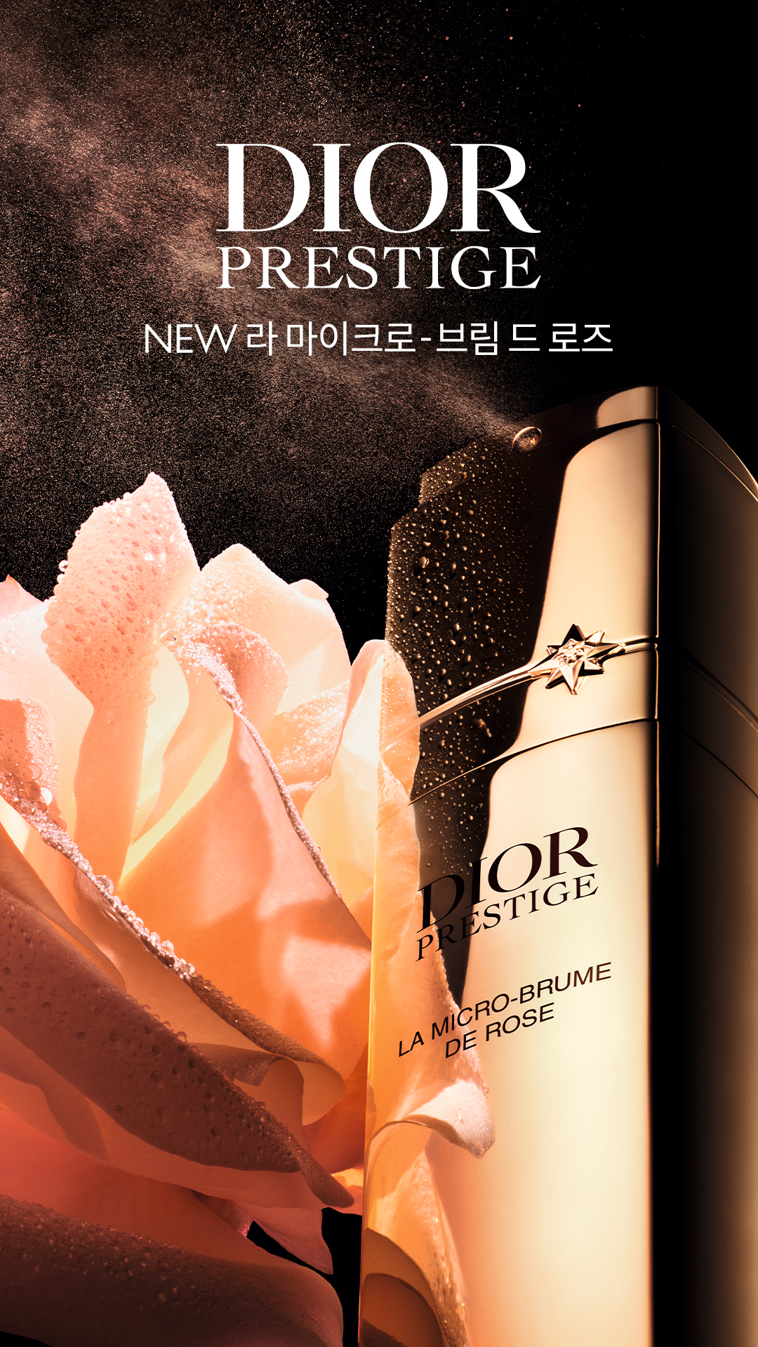 Dior Facebook ad