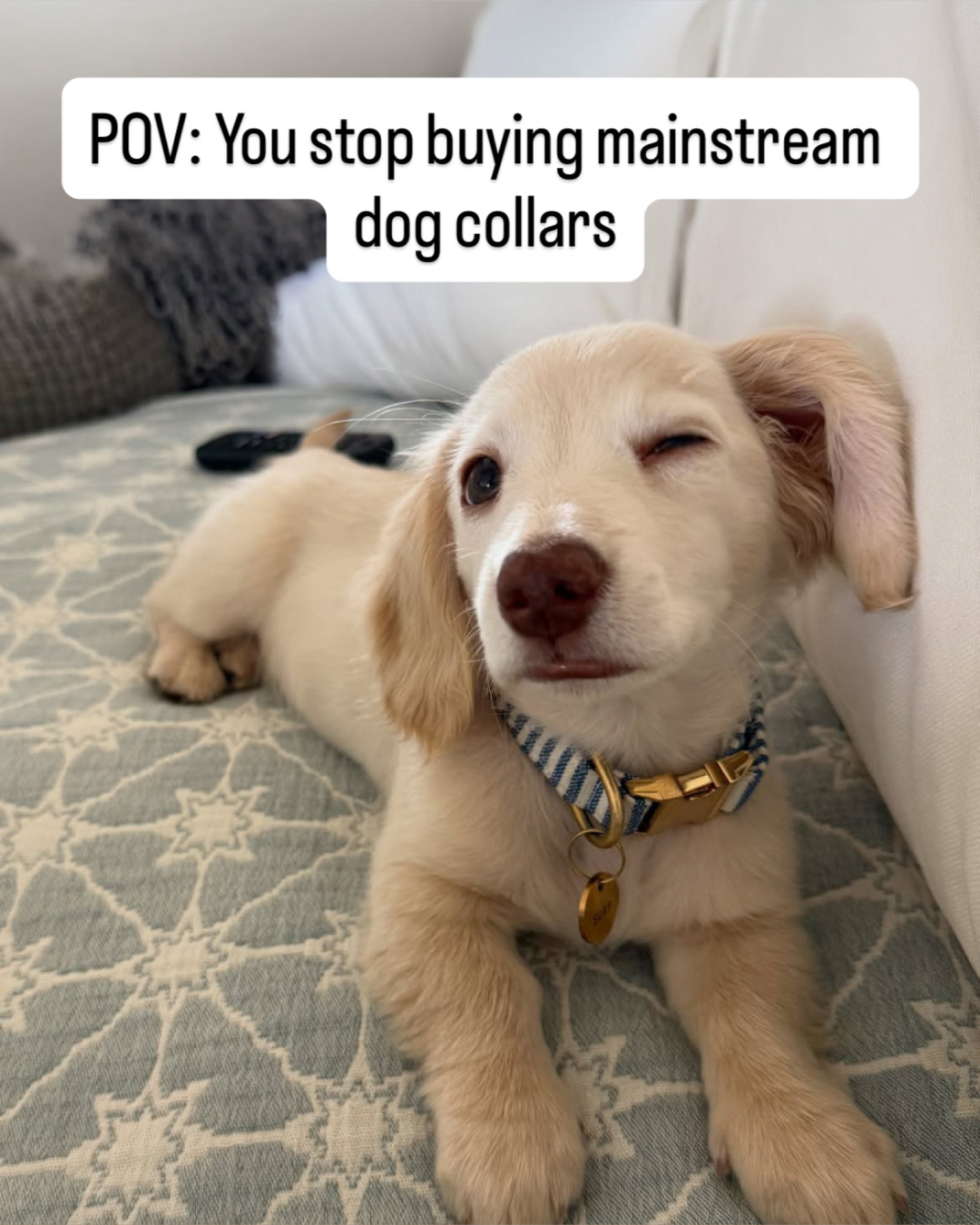 The Foggy Dog Facebook ad