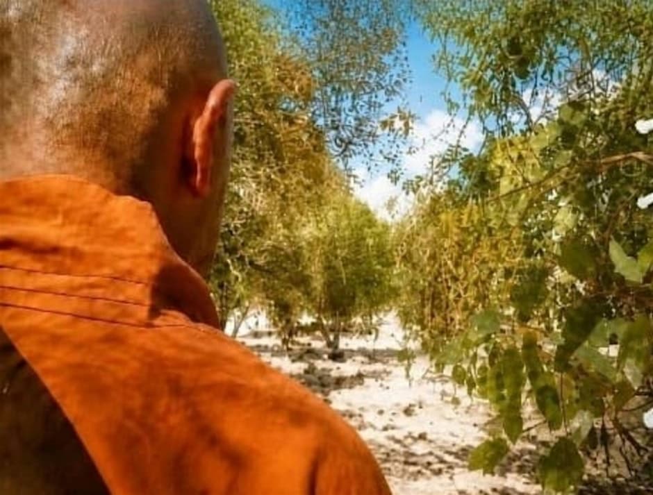 Earth Works Centre Facebook ad: Spring 5 Elements Medical Meditation and Mindfulness