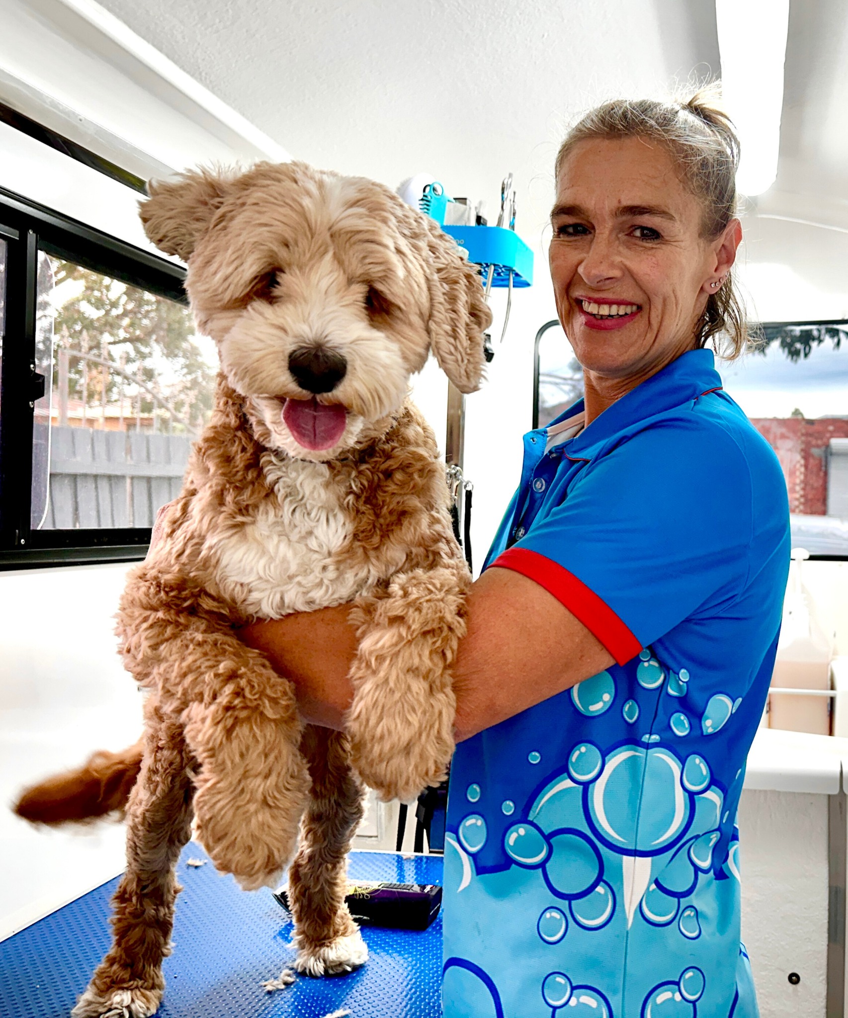Dash DogWash Facebook ad