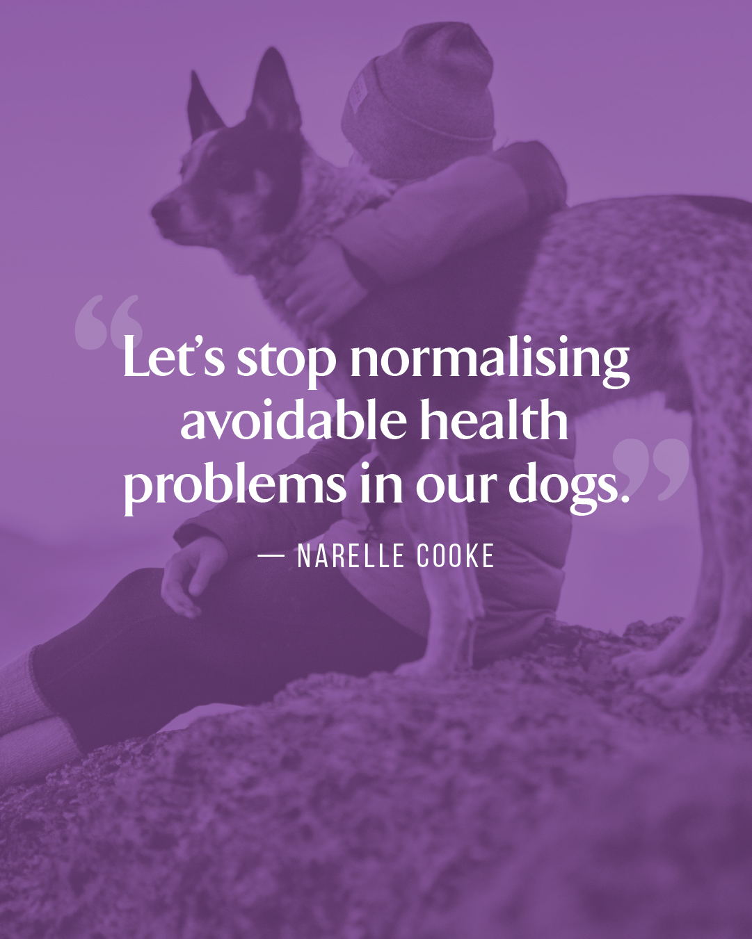 CanineCeuticals Facebook ad