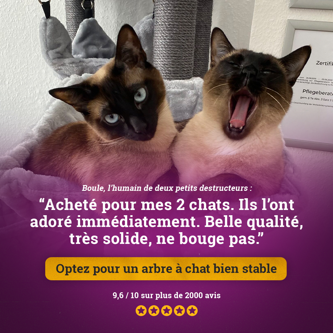 petrebels.com Facebook ad: Adoré par les chats