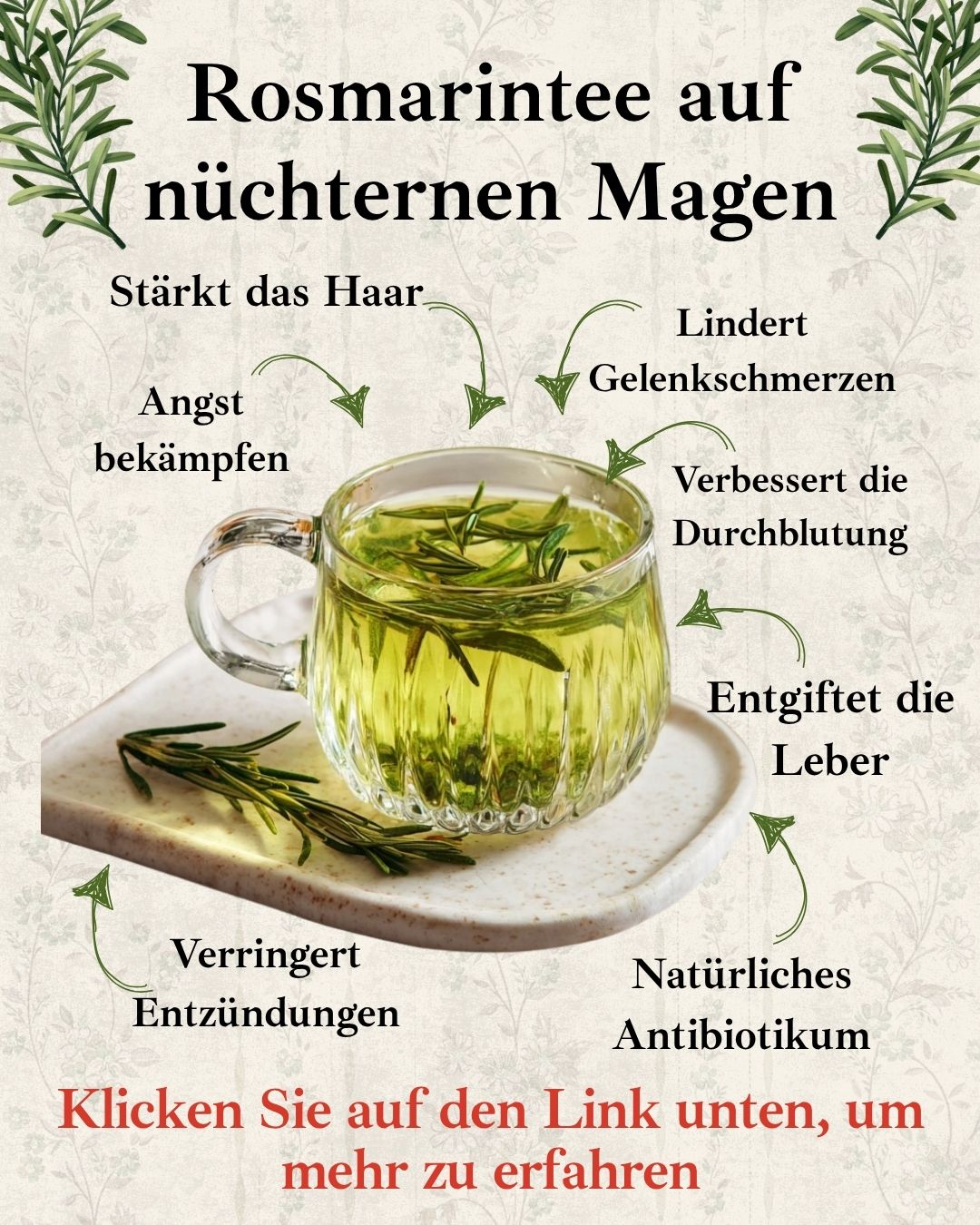 Das verlorene Buch der Kräuterheilmittel Facebook ad
