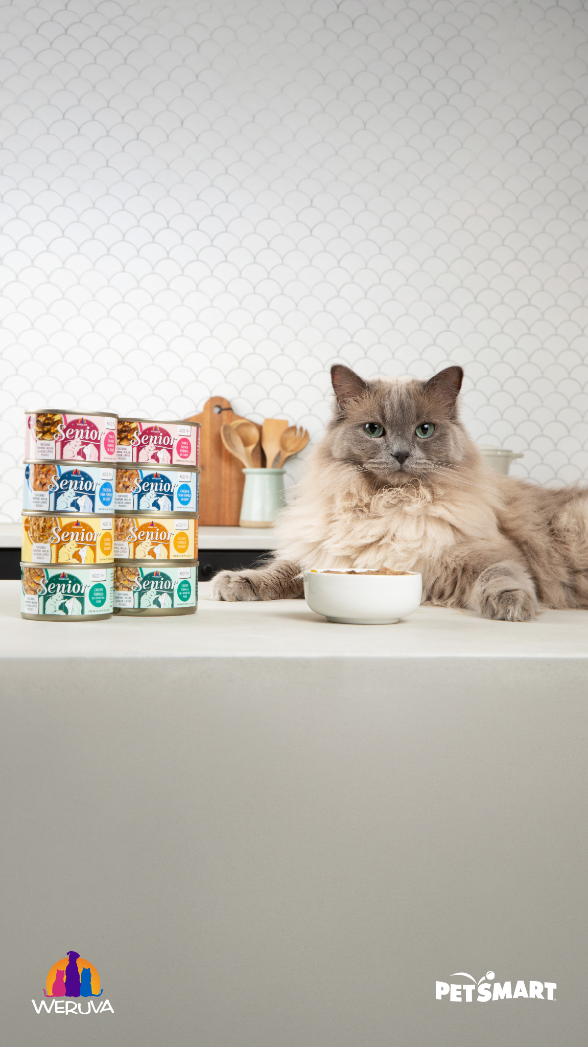PetSmart Facebook ad