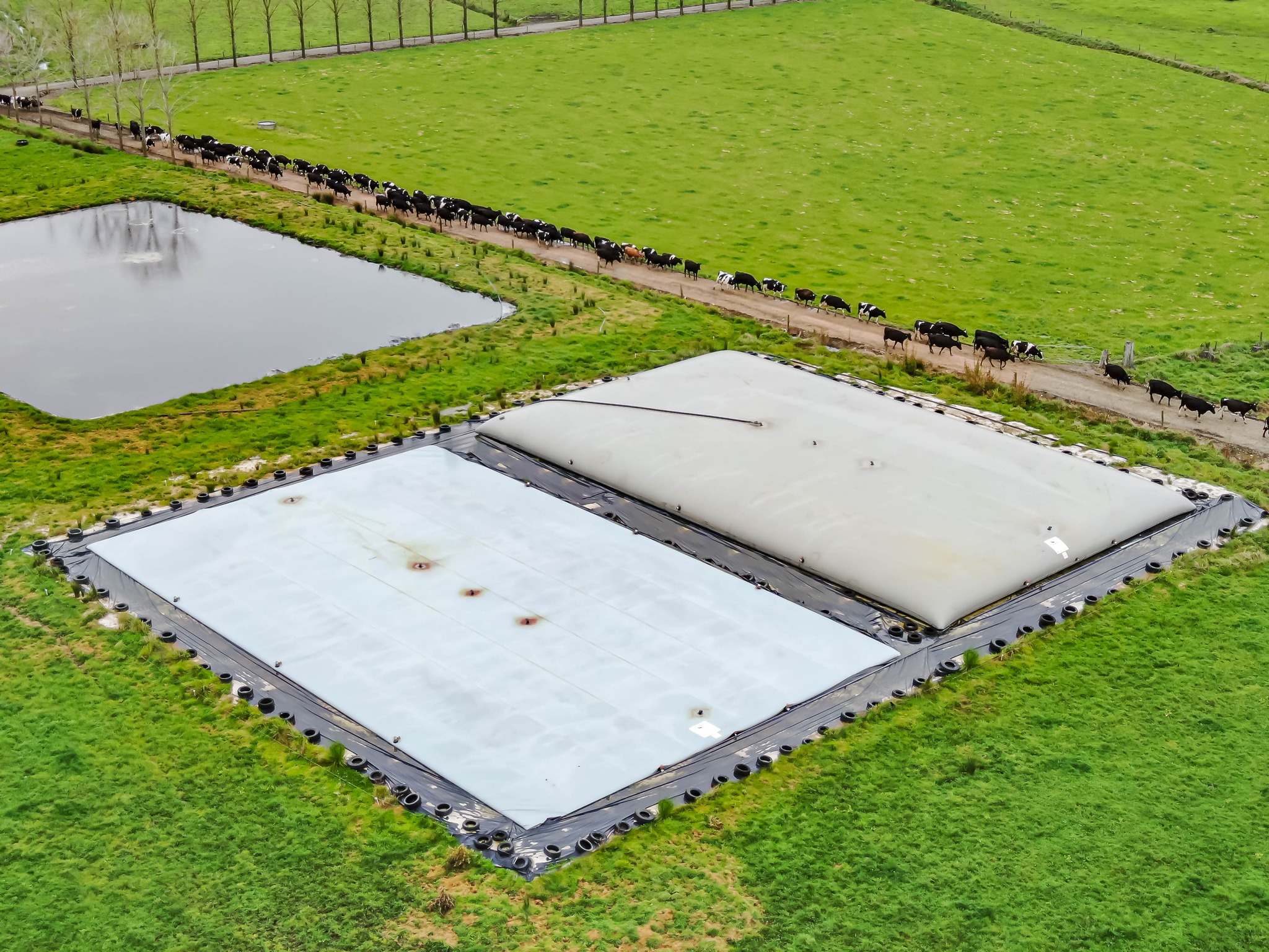 Flexi Tanks NZ Facebook ad: 2 x 1000m3 Effluent Flexi Tanks work alongside…