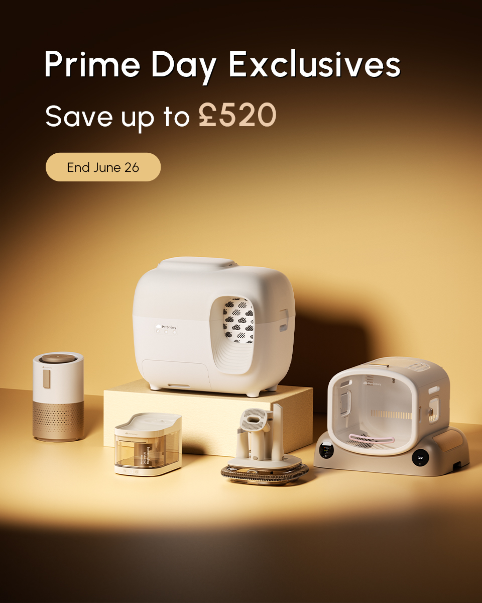 PetSnowy Facebook ad