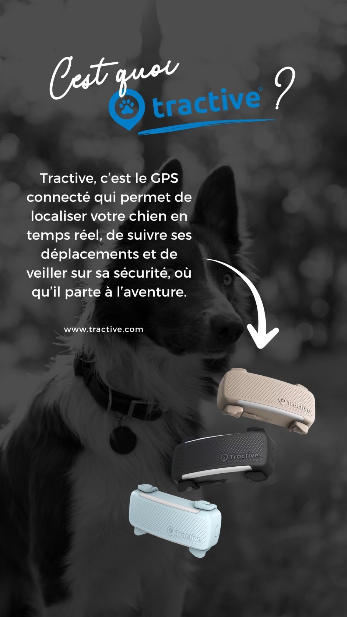 Tractive Facebook ad