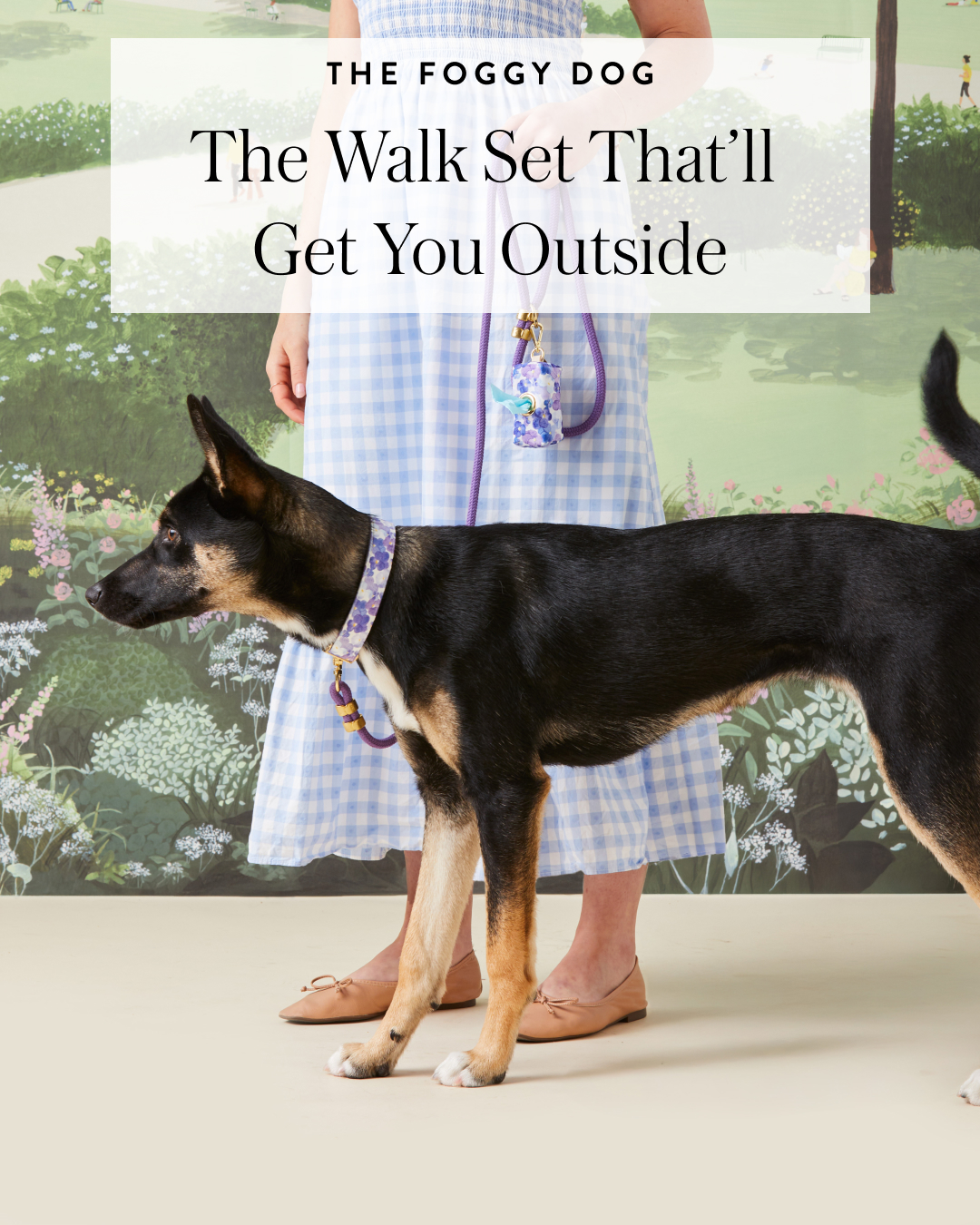 The Foggy Dog Facebook ad