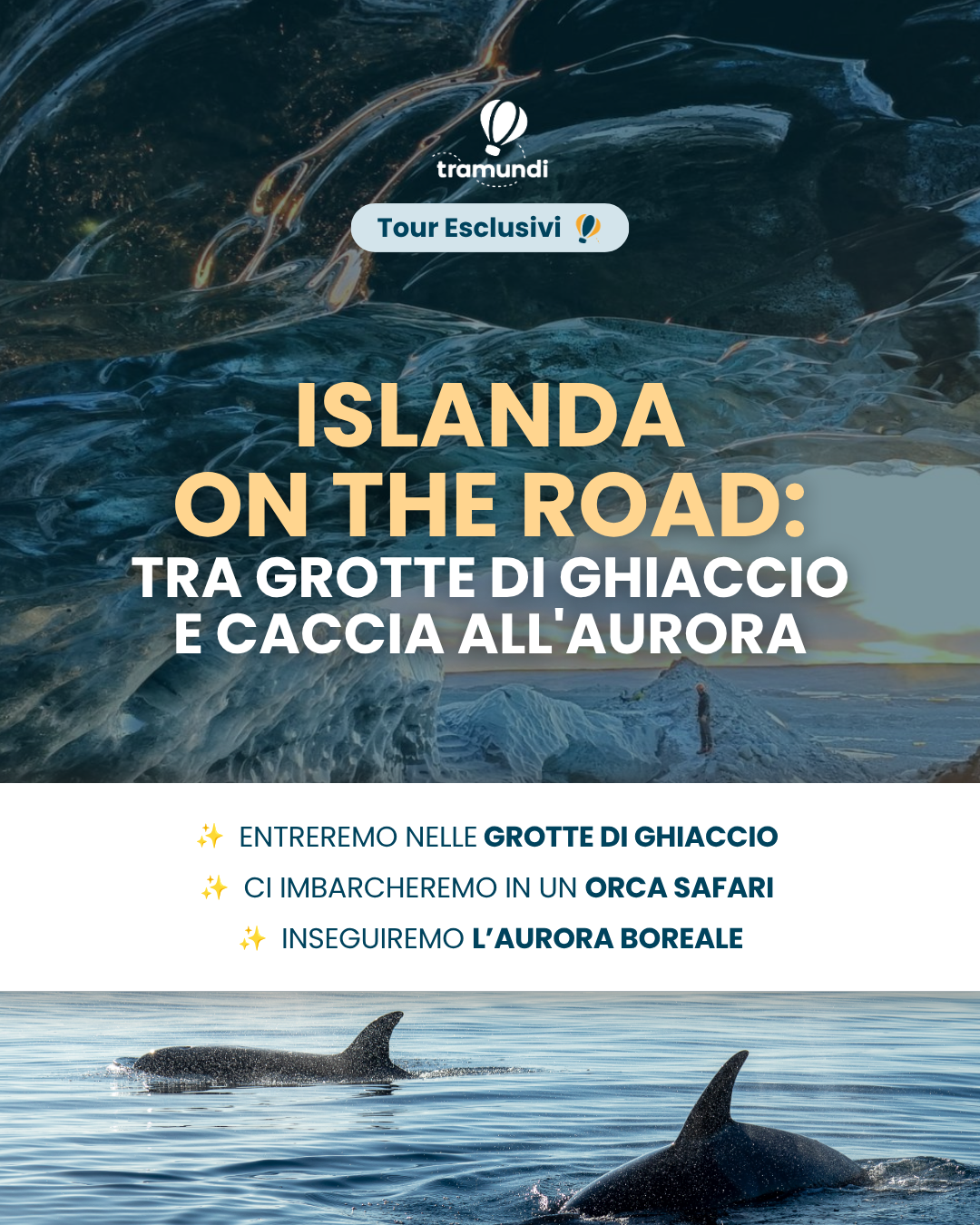 Tramundi Facebook ad
