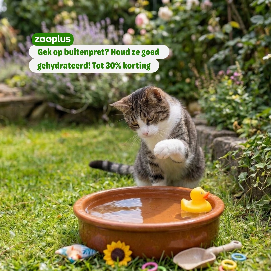 zooplus Facebook ad