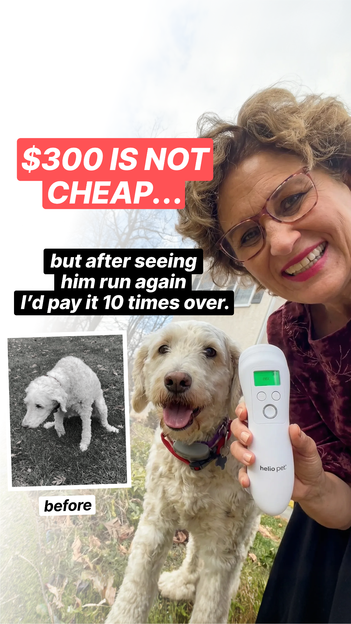 Helio Pet Facebook ad