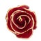 The Forever Rose