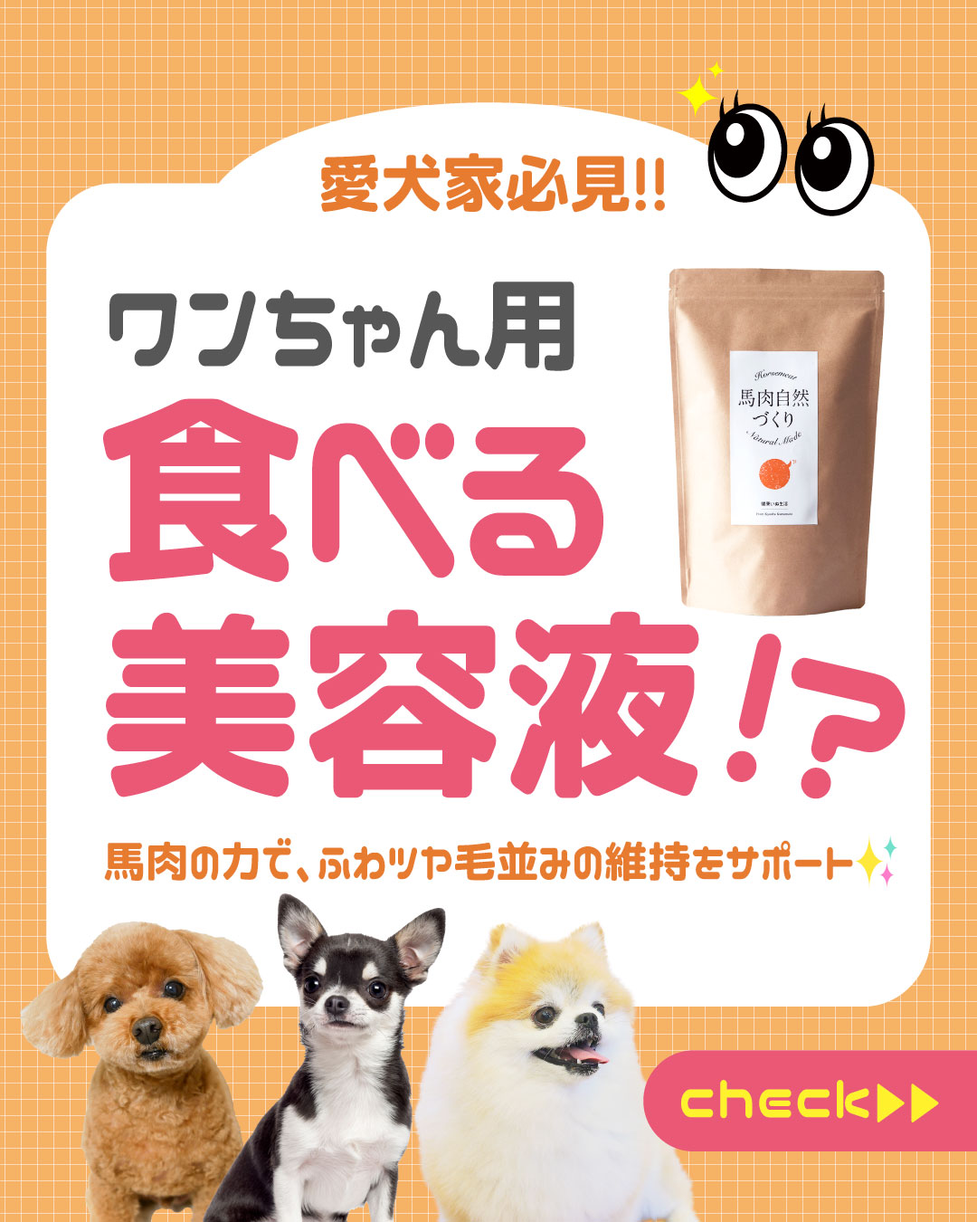 健康いぬ生活 Facebook ad