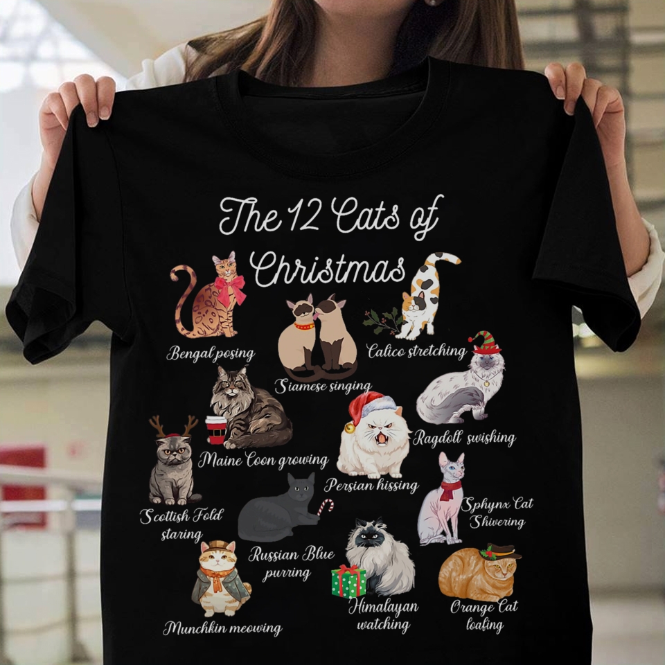 Purrfect Paws Facebook ad