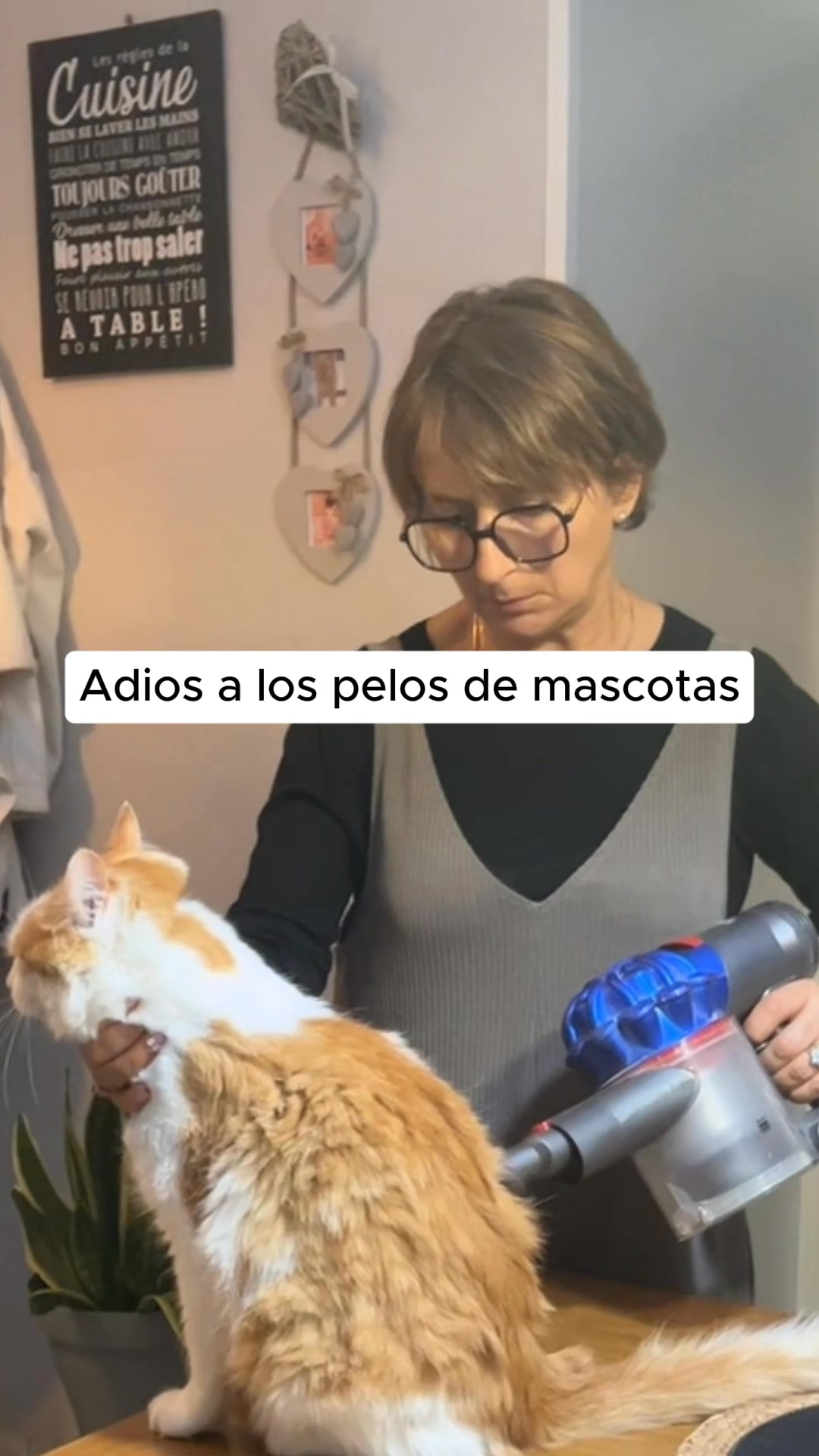 Softpet Facebook ad: Gánale la batalla al pelo de tu mascota.