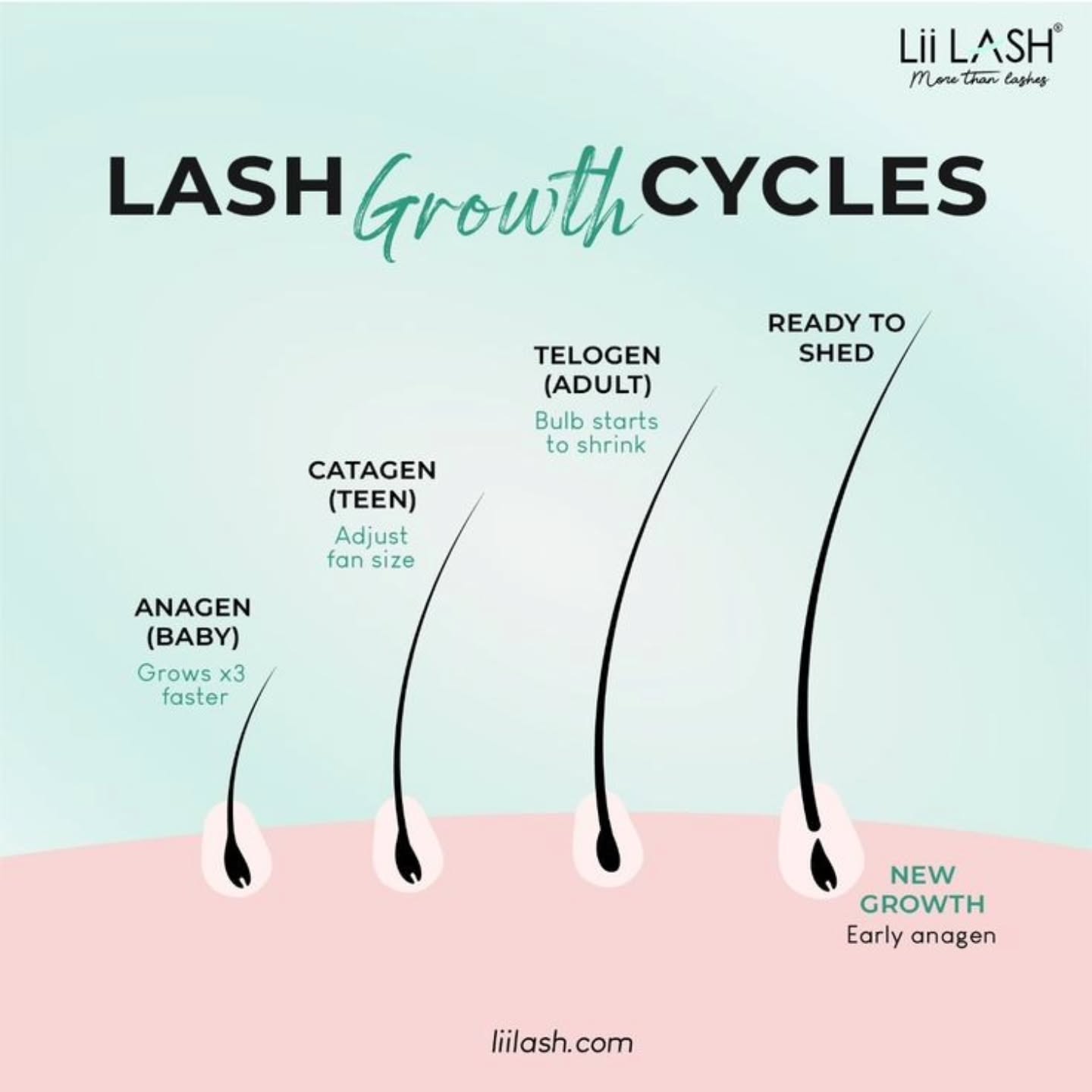lashes_and_brows_by_luciana Facebook ad: De ce nu tundem sprâncenele?