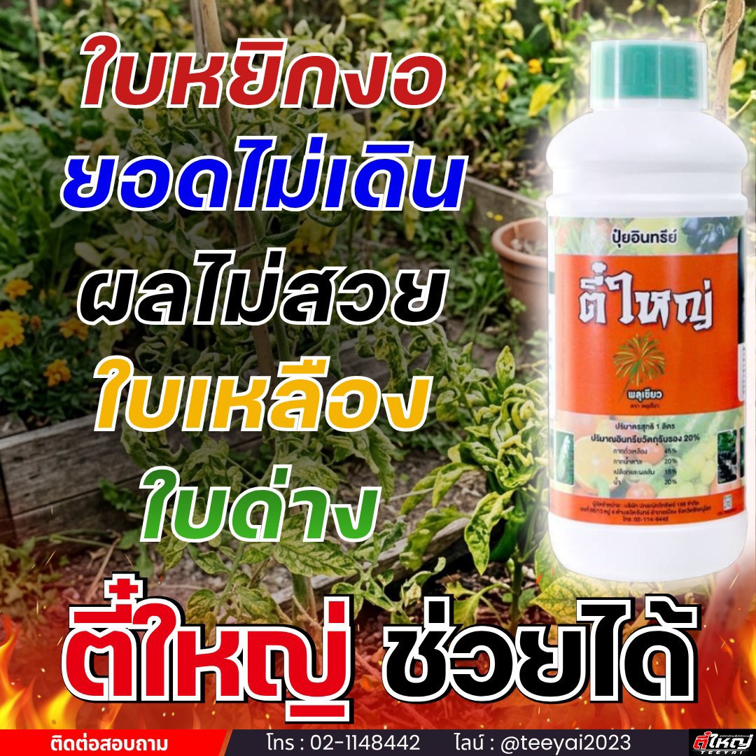 กำจัดโรคเพลี้ยไฟไรแดง โดยตี๋ใหญ่ Facebook ad: หลบไป!