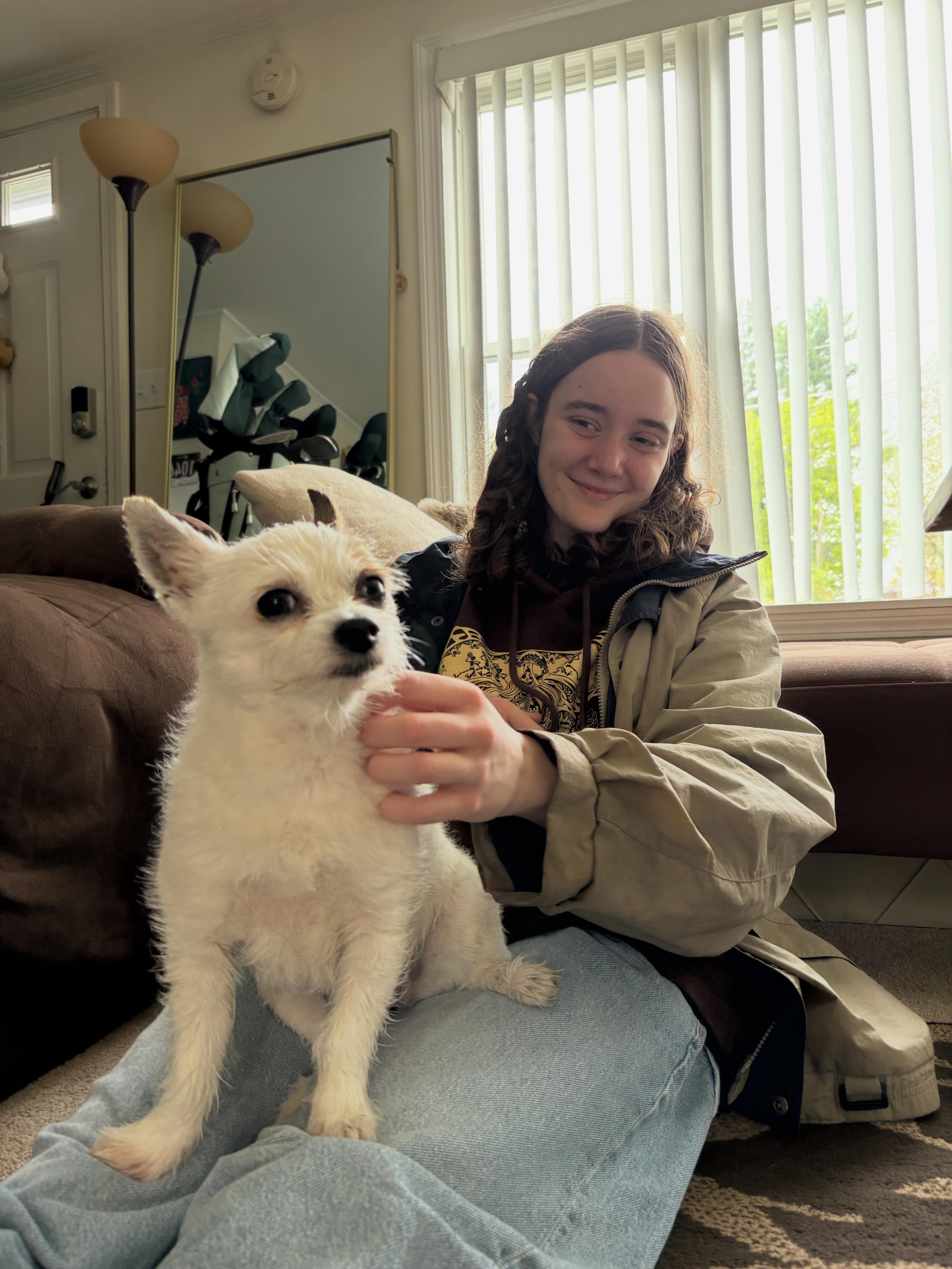 The Dog Salon Facebook ad