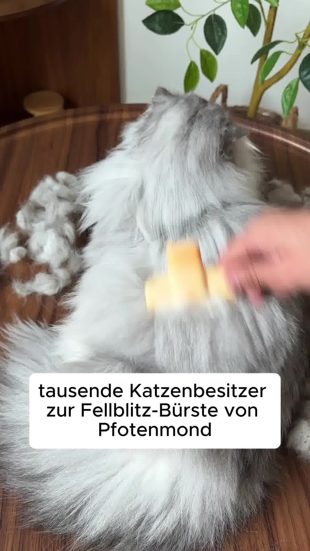 Pfotenmond.de Facebook ad: Für alle Felltypen geeignet