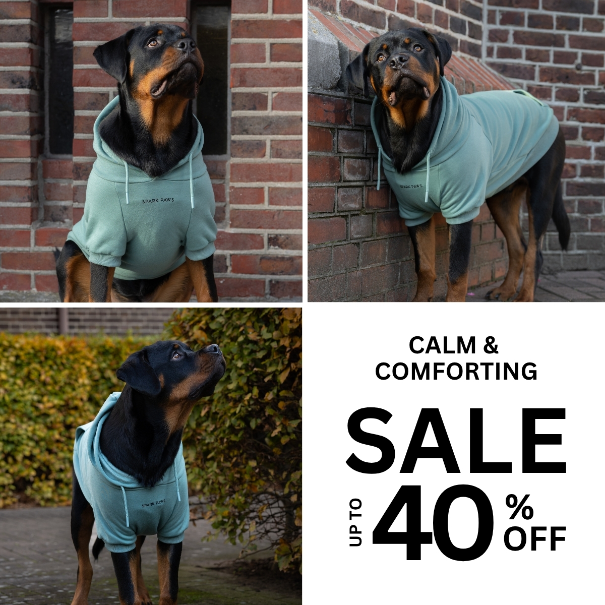 Spark Paws Facebook ad