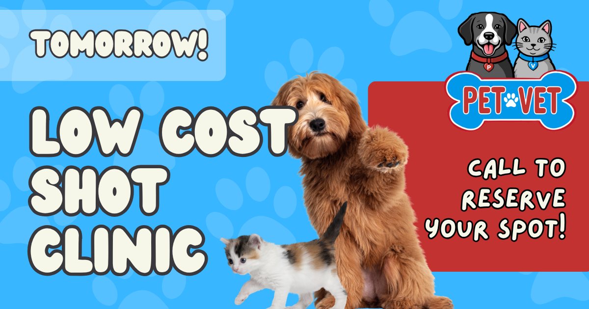 Pet Vet Facebook ad