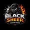 Black Sheep Custom Design
