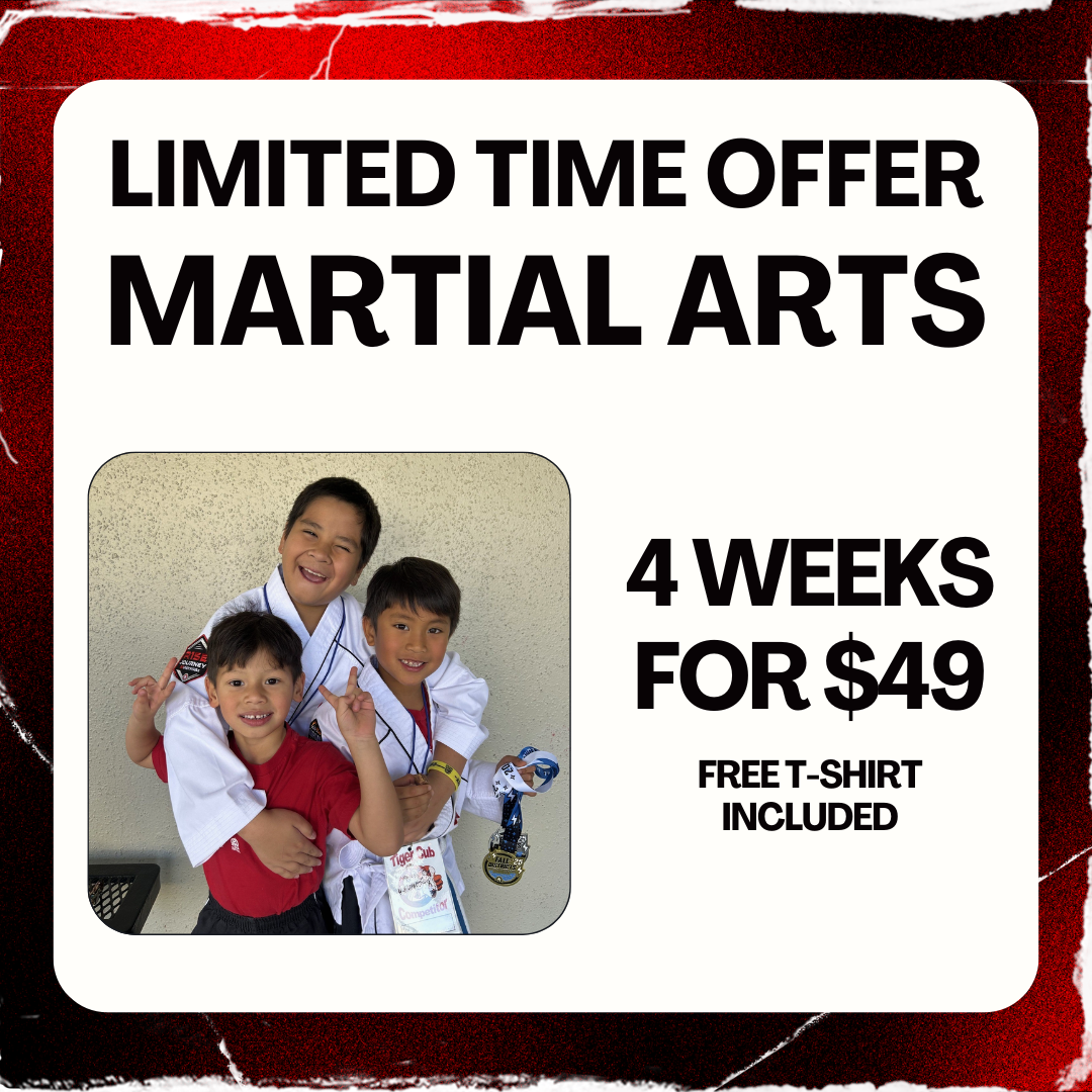 Tiger-Rock Martial Arts of Columbia Facebook ad