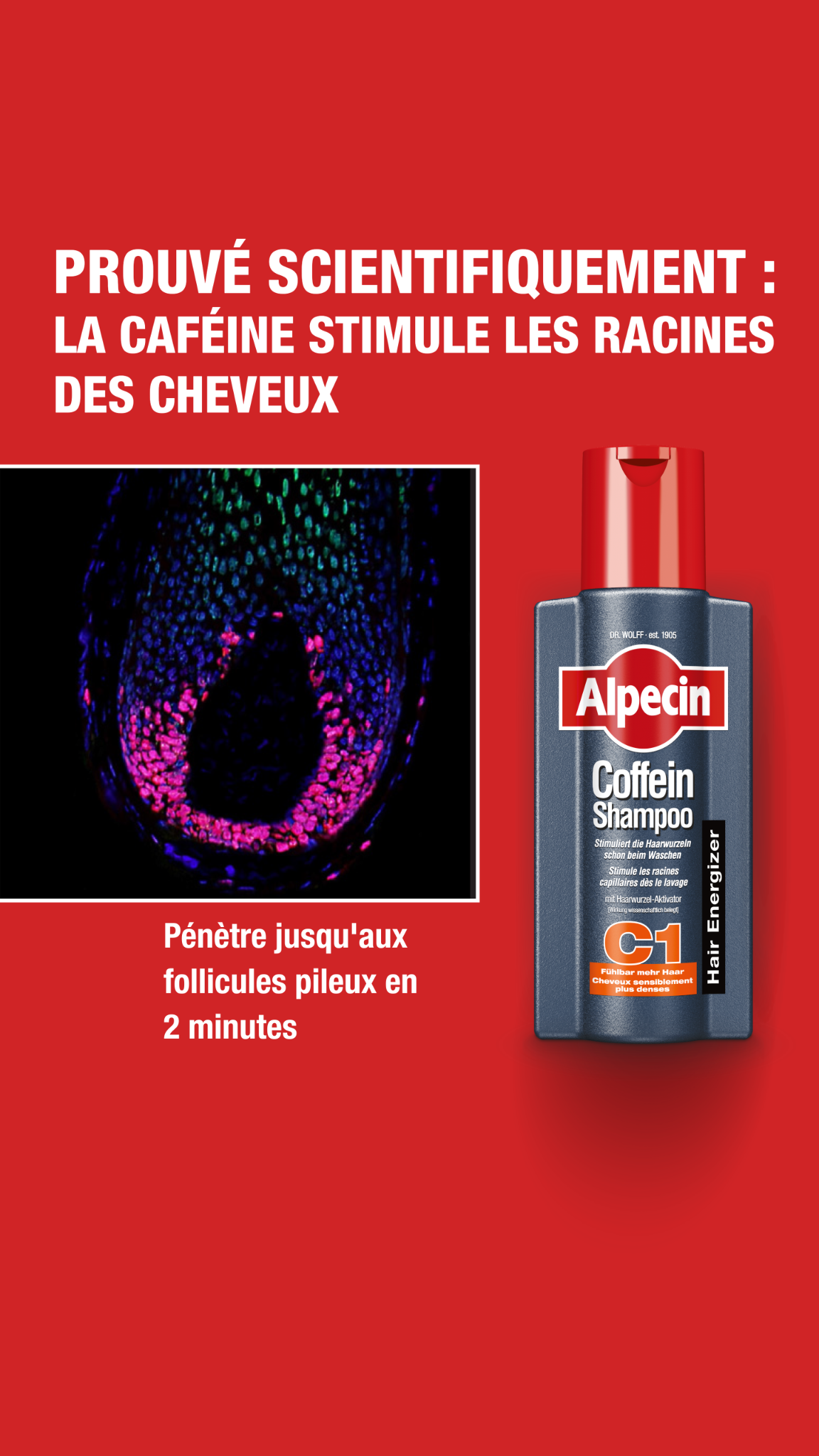 Alpecin Facebook ad
