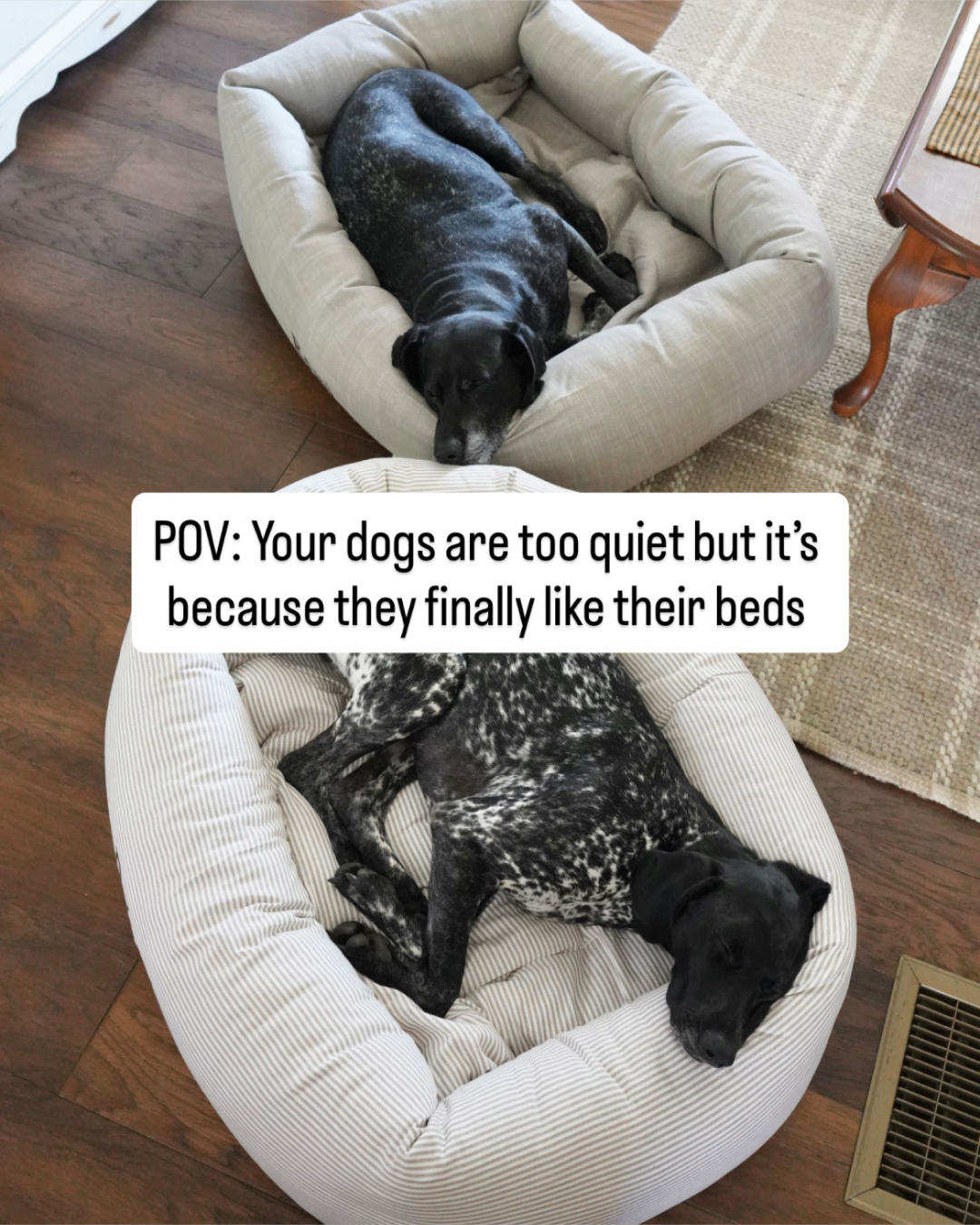 The Foggy Dog Facebook ad