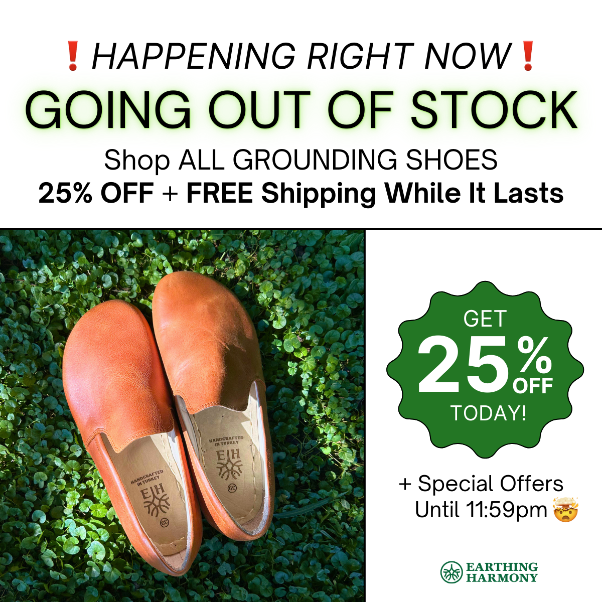 Heather Goodwin Facebook ad