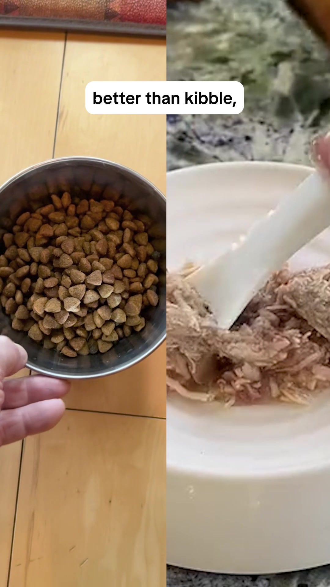 Smalls Facebook ad: Human-Grade Fresh Cat Food