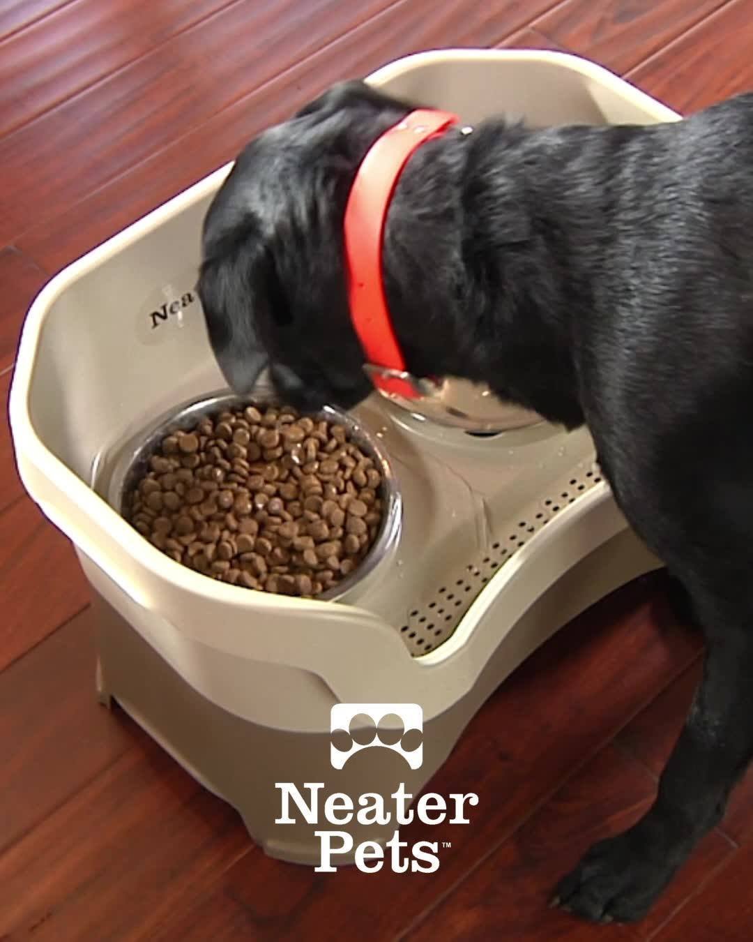Neater Pets Facebook ad: 15% OFF your 1st order w/ code FEEDER15