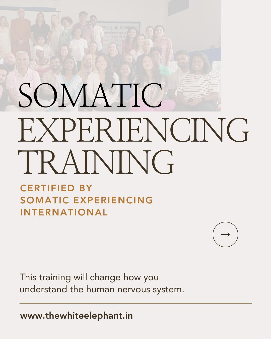 The White Elephant Clinic Facebook ad: Most people understand trauma intellectually.