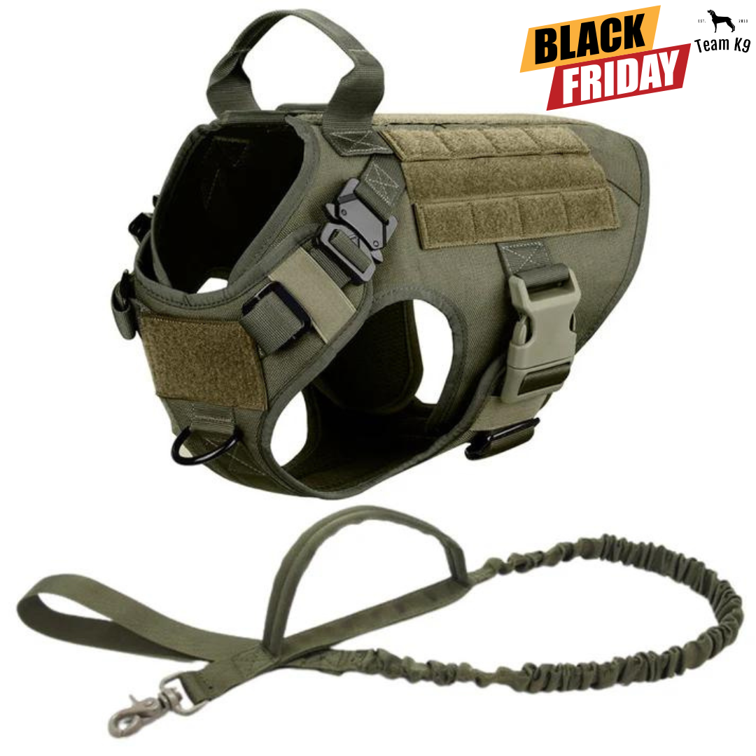 Team K9 Facebook ad