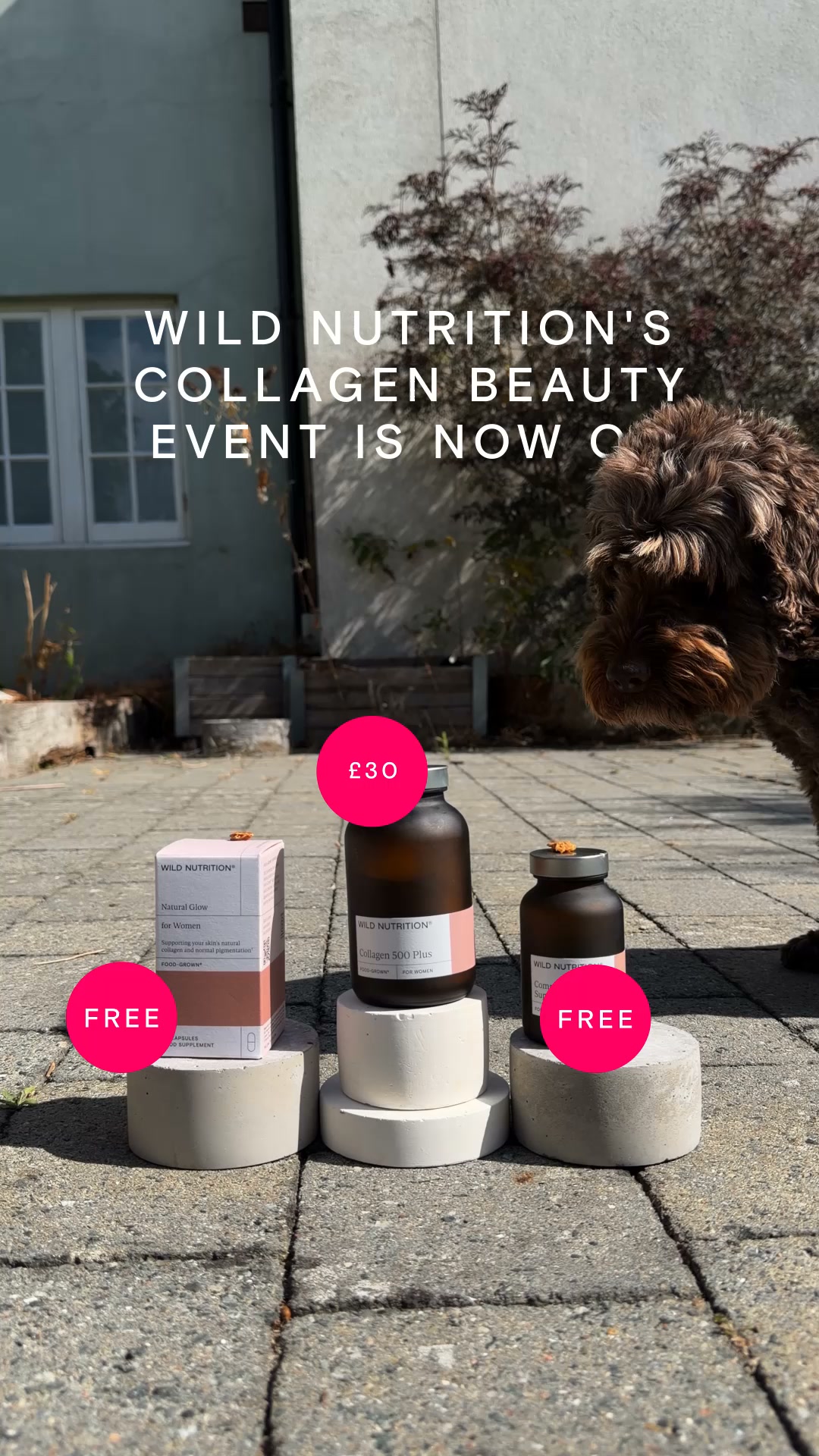 Wild Nutrition Facebook ad: Ends soon: £113 worth of beauty gifts for FREE